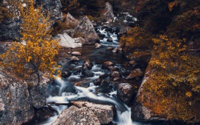 Bulgaria: la meta perfetta per gli amanti della natura